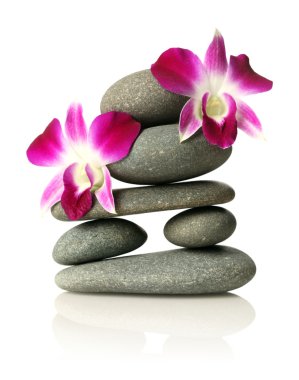 Orchids on stacked stones clipart