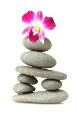 Orchid on stacked stones clipart