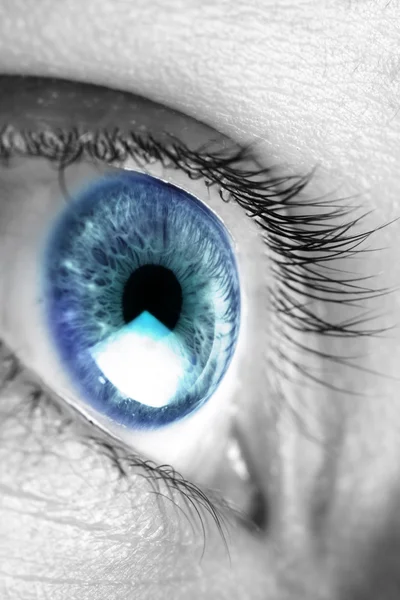 Ljusa blå ögon närbild — Stockfoto