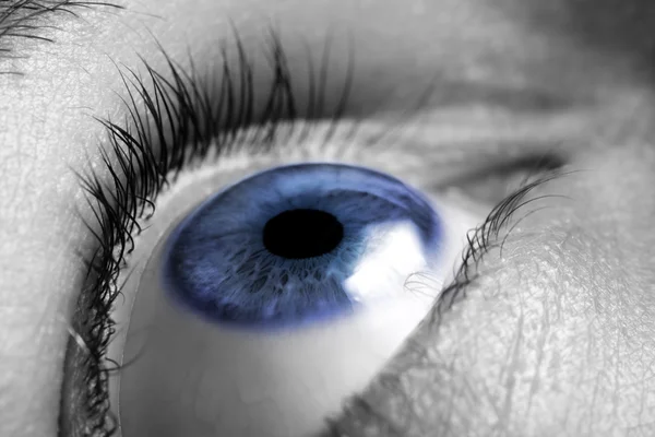 Close-up de um olho — Fotografia de Stock