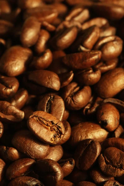 Kávébab halmaz — Stock Fotó