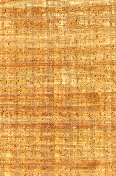 Papiro — Fotografia de Stock