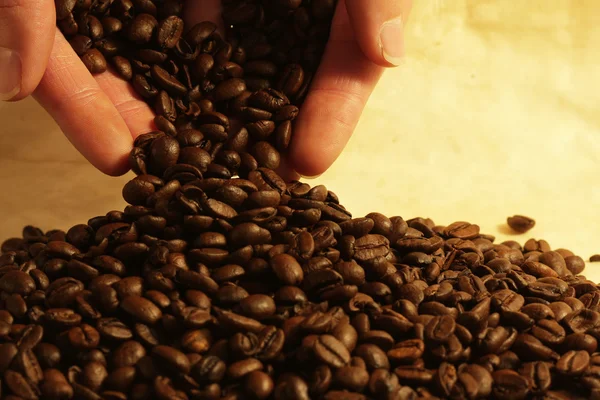 Mão segurando grãos de café — Fotografia de Stock