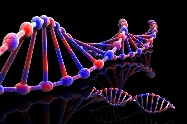 DNA - 3d — Fotografia de Stock