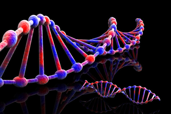 DNA - 3d