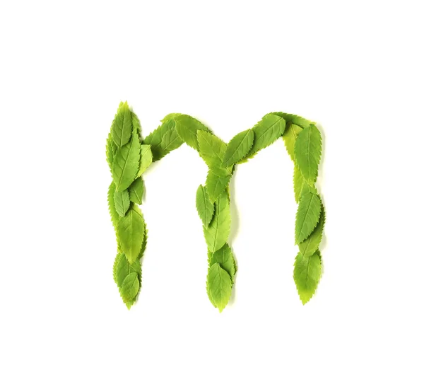 Leaf letters — Stock Photo, Image