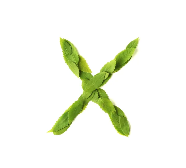 Leaf bokstäver — Stockfoto