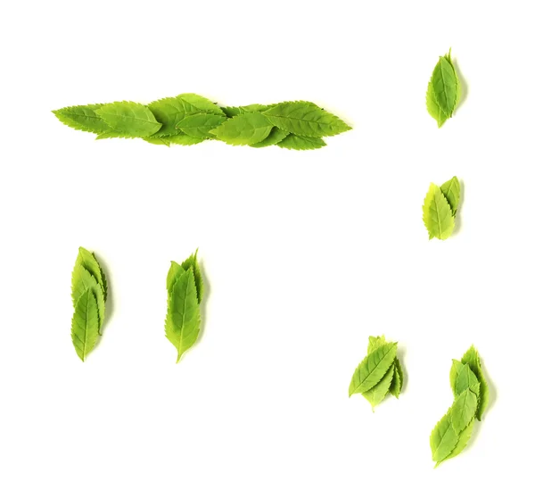 Leaf symbols — Stock Photo, Image