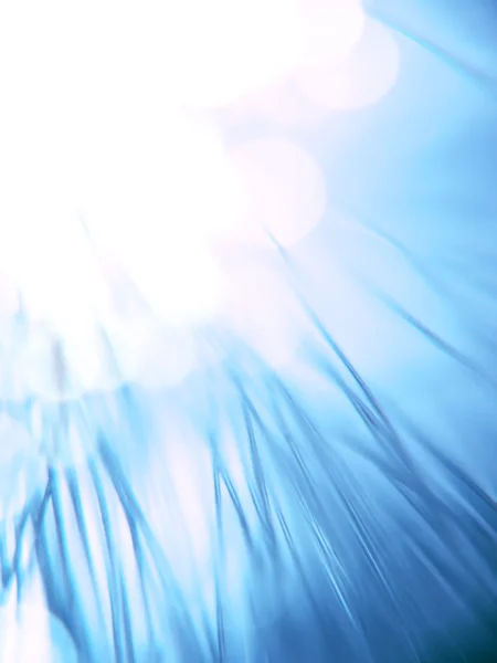 Niebieski światłowodów — Zdjęcie stockowe