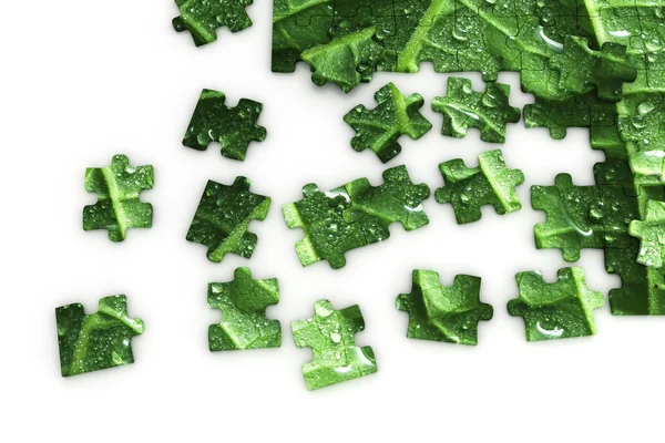 Puzzle z liścia — Zdjęcie stockowe