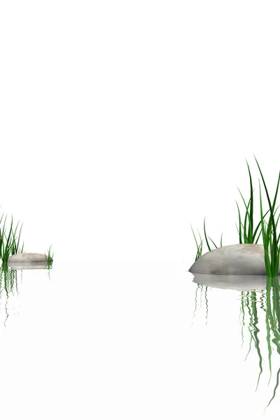 Камни и трава у края воды — стоковое фото