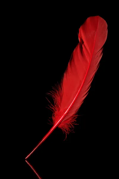 Rode veren — Stockfoto