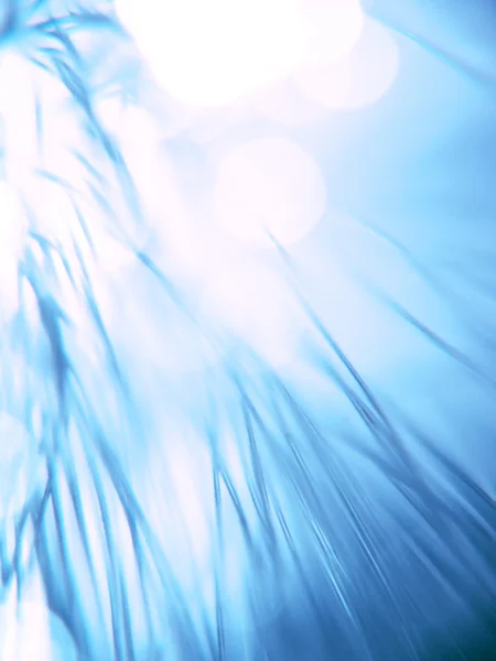 Mavi fiber optik lifler — Stok fotoğraf