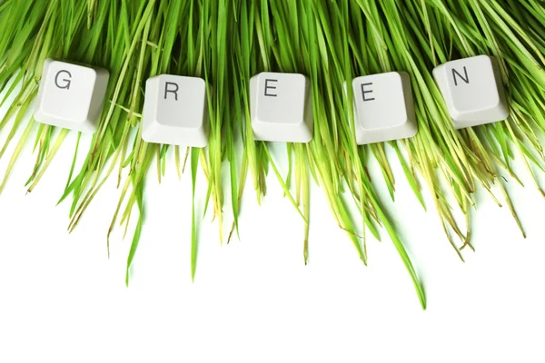 Yeşil çimenlerin üzerinde klavye anahtar taşı içinde yazılı — Stok fotoğraf