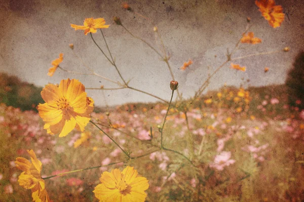 Yıpranmış kağıt dokusu ile çiçekler — Stok fotoğraf