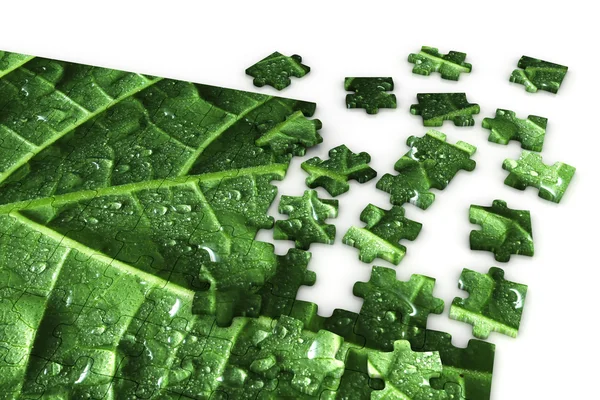 Puzzle of a leaf — Stock Photo, Image