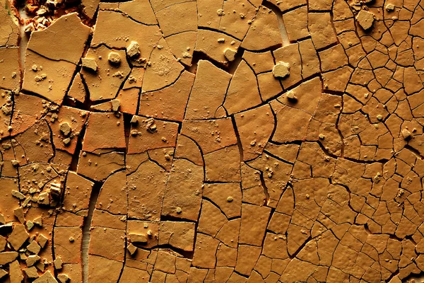 Dried cracked earth — Stock Photo, Image