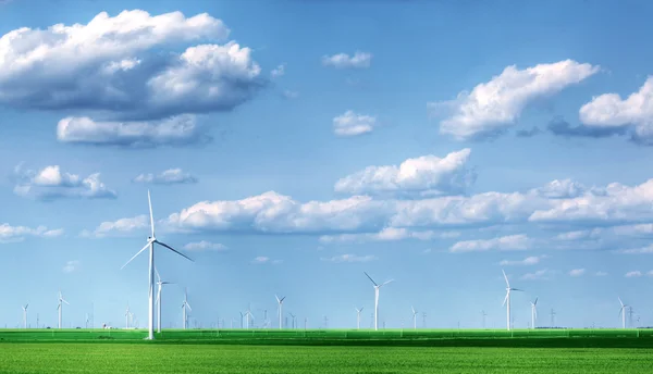 Пейзаж, полный ветряных турбин — стоковое фото