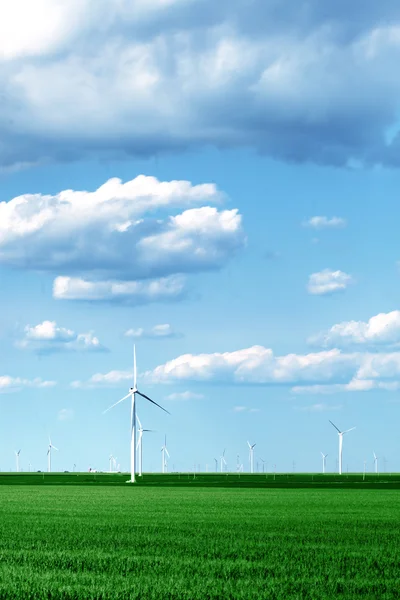 風力タービンの完全な風景 — ストック写真