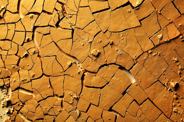 Terra crepata essiccata — Foto Stock