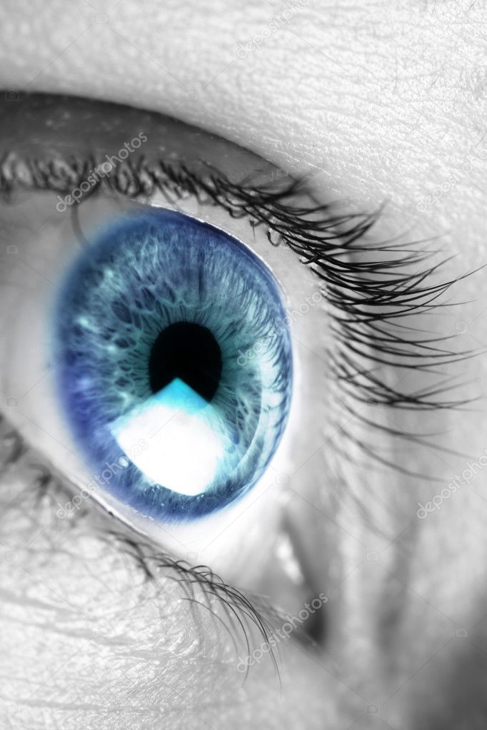 Bright blue eye closeup