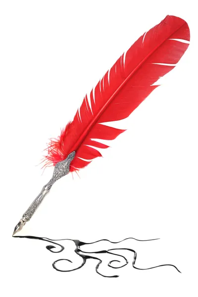 红色和银色羽毛笔 — 图库照片