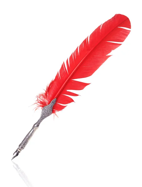 Red and silver quill — Stock Photo, Image