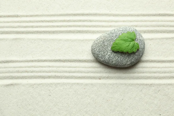 Grönt blad på sten i sanden — Stockfoto