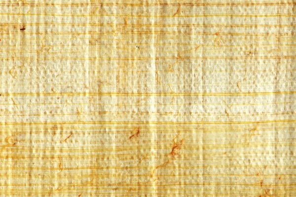 Papirus zbliżenie — Zdjęcie stockowe