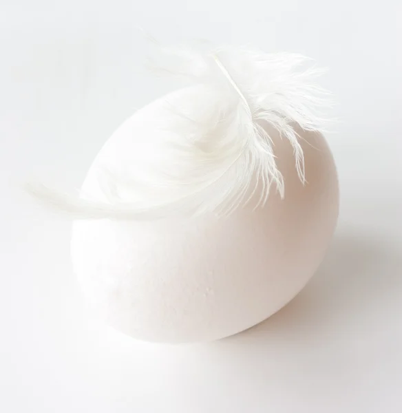 Egg and feather. — Stock Photo, Image