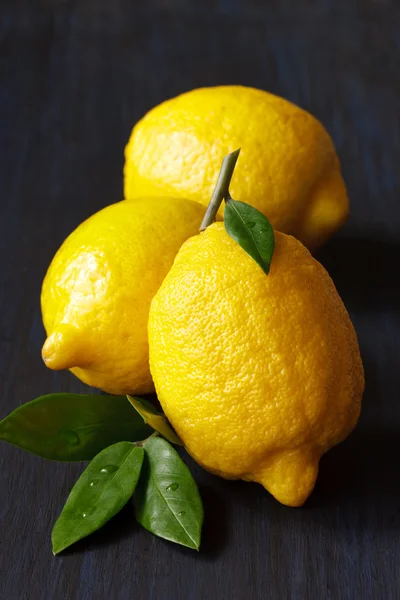 Lemon. — Stok Foto