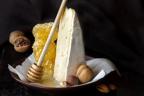Käse und Honig. — Stockfoto