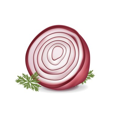 Cut in half red onion clipart