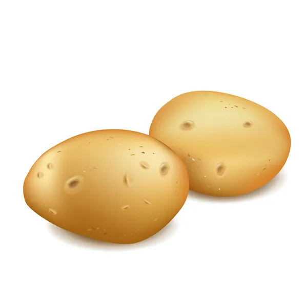 Deux pommes de terre isolées — Image vectorielle