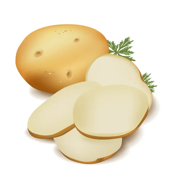 Rodajas de patata y patata — Vector de stock