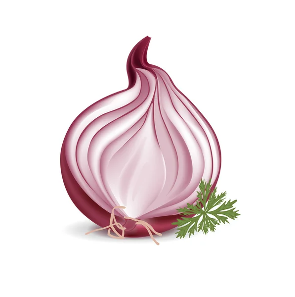 Sliced red onion with parsley — Stock Vector