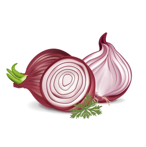 Sliced and whole red onions — Stock Vector