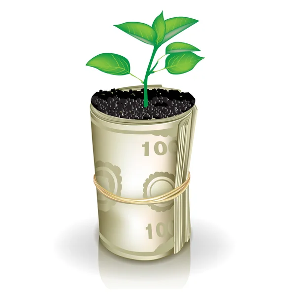 Roll of money and growing plant — Stock Vector