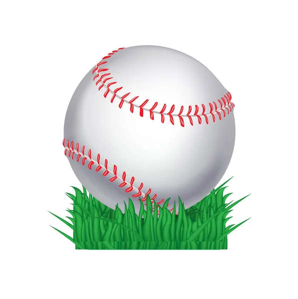 Baseball labda, fű — Stock Vector