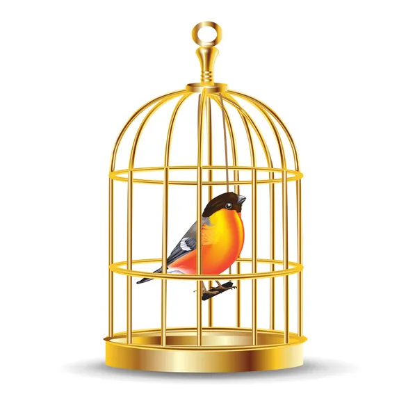 Golden bird cage with bird inside — Stock Vector