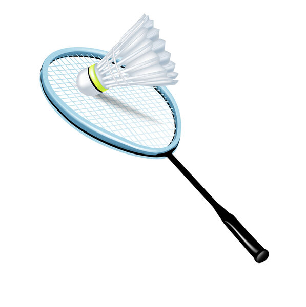 Single badminton racket and shuttlecock