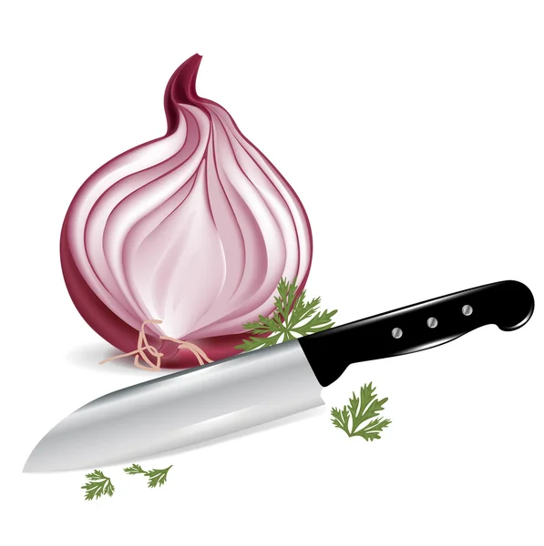 Cebollas y cuchillo — Vector de stock