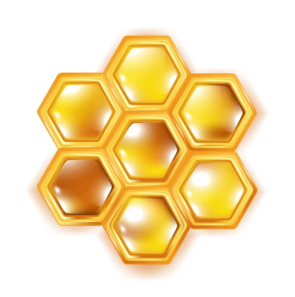 Peine de abeja aislado en blanco —  Fotos de Stock
