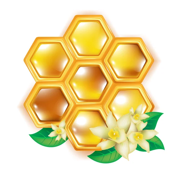 Panal de abeja con flores —  Fotos de Stock