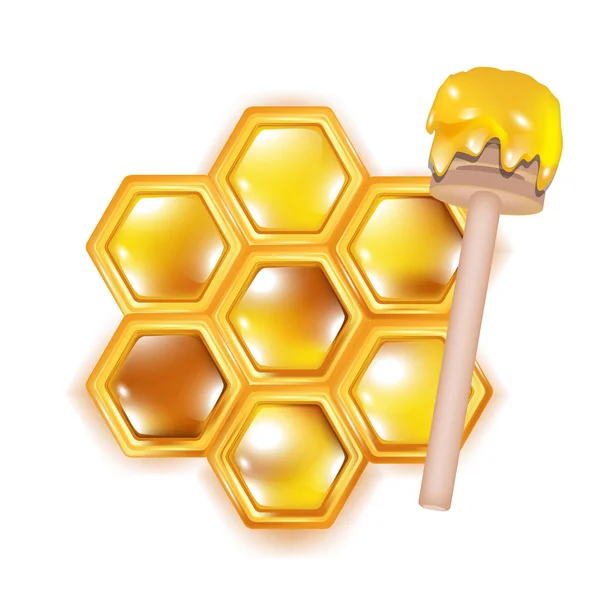 Panal de abeja con cazo de madera — Foto de Stock