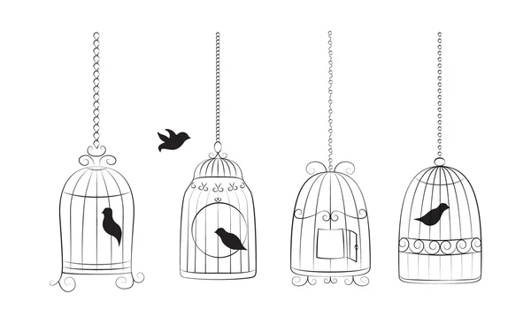 Vögel in Käfigen — Stockvektor