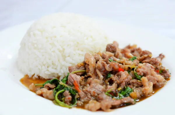 Food style asian — Stock Photo, Image