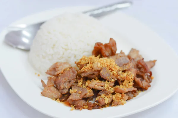Reis und Schweinefleisch — Stockfoto