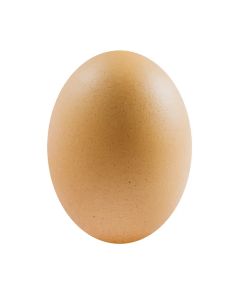 Ένα αυγά — Φωτογραφία Αρχείου