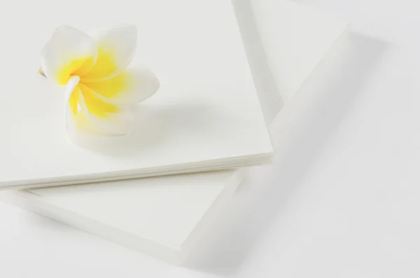 Carta bianca e floreale — Foto Stock